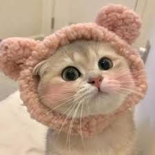 سادیہ اقبال avatar